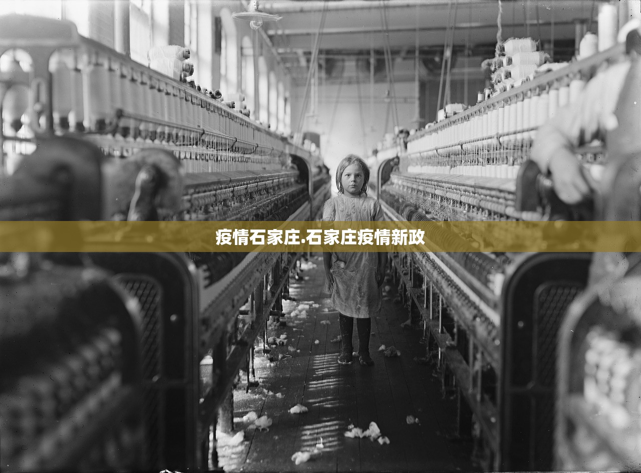 疫情石家庄.石家庄疫情新政