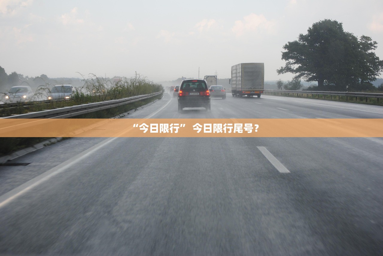 “今日限行” 今日限行尾号？