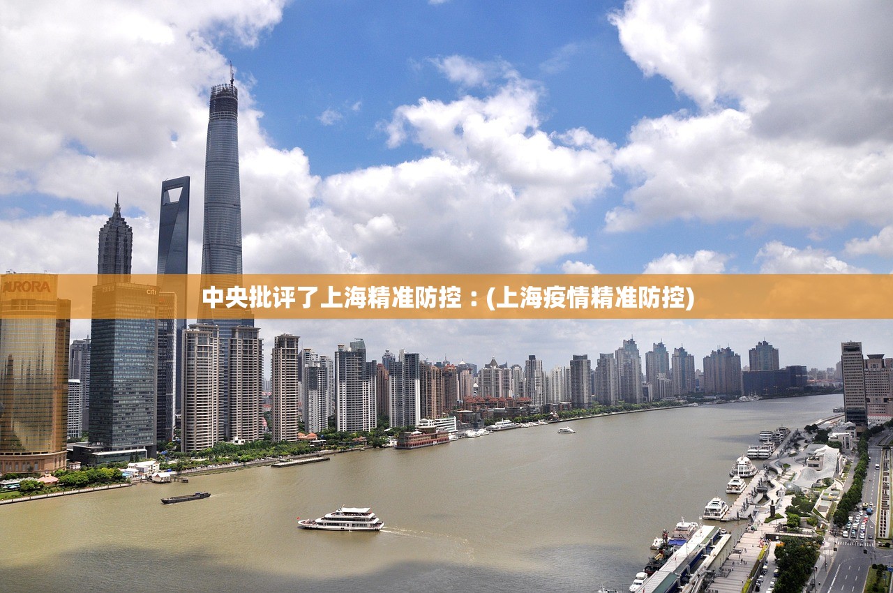 中央批评了上海精准防控︰(上海疫情精准防控)