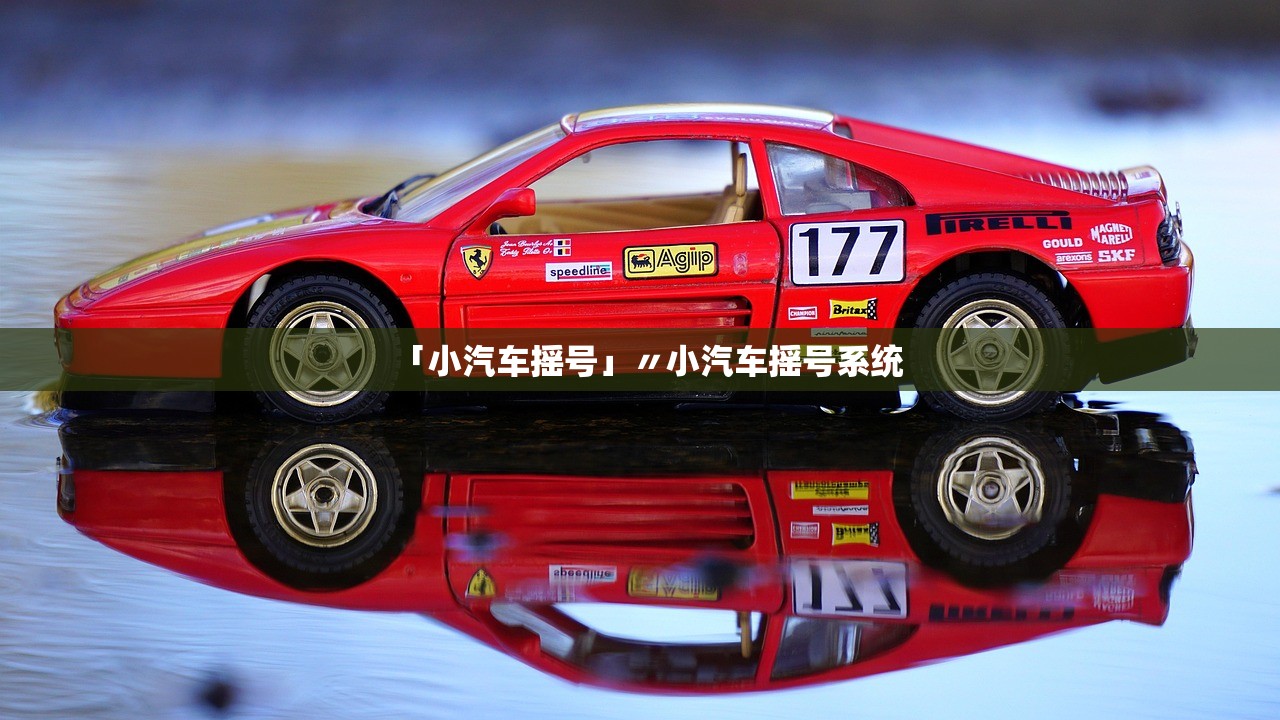 「小汽车摇号」〃小汽车摇号系统
