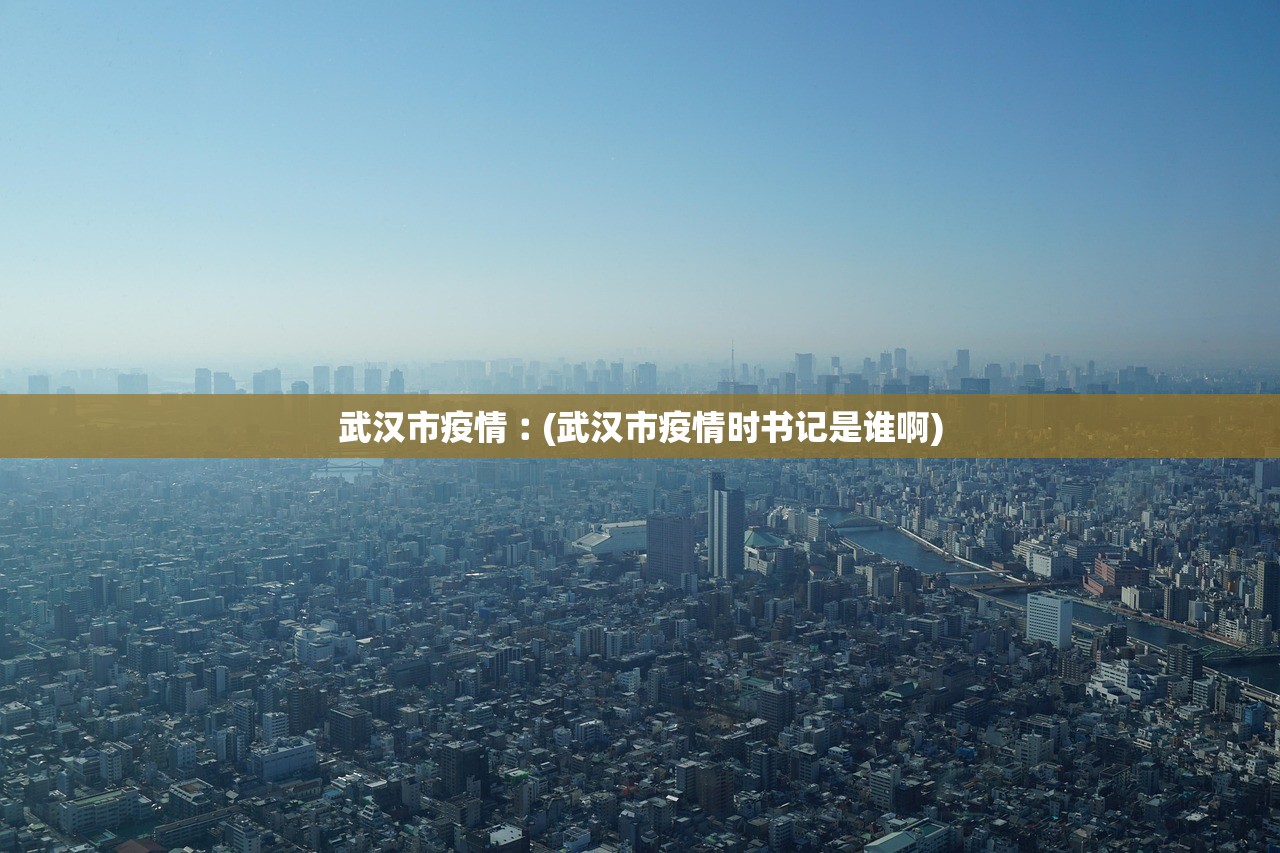 武汉市疫情︰(武汉市疫情时书记是谁啊)