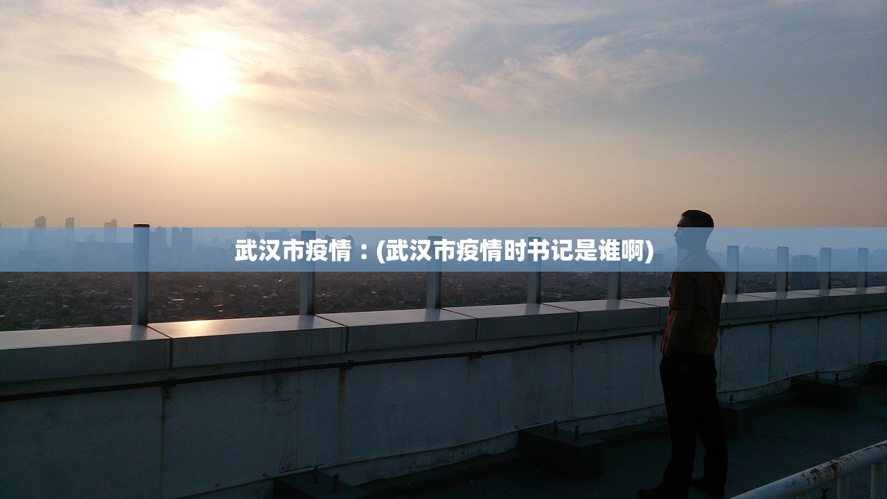 武汉市疫情︰(武汉市疫情时书记是谁啊)