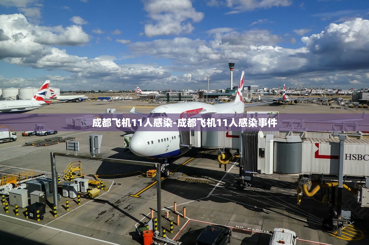 成都飞机11人感染-成都飞机11人感染事件