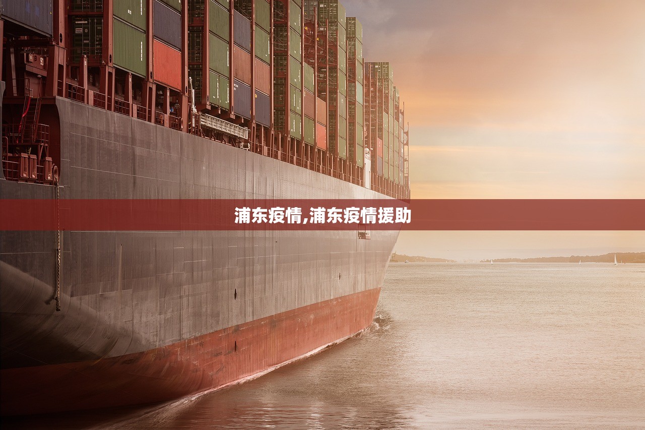 浦东疫情,浦东疫情援助