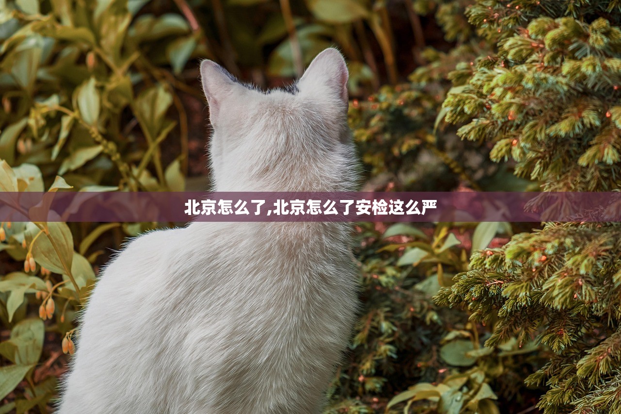 北京怎么了,北京怎么了安检这么严