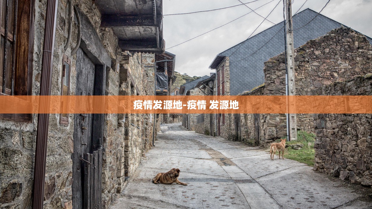 疫情发源地-疫情 发源地