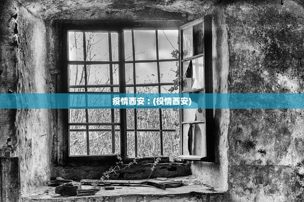 疫情西安︰(役情西安)