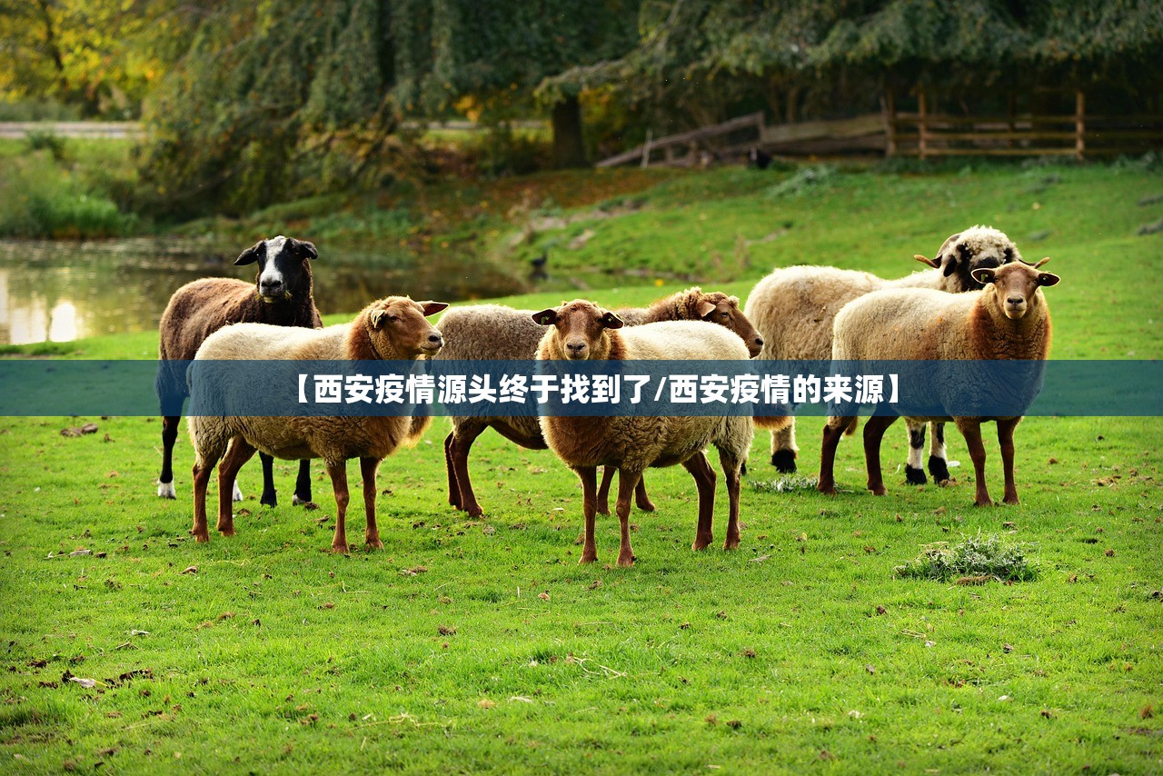 【西安疫情源头终于找到了/西安疫情的来源】