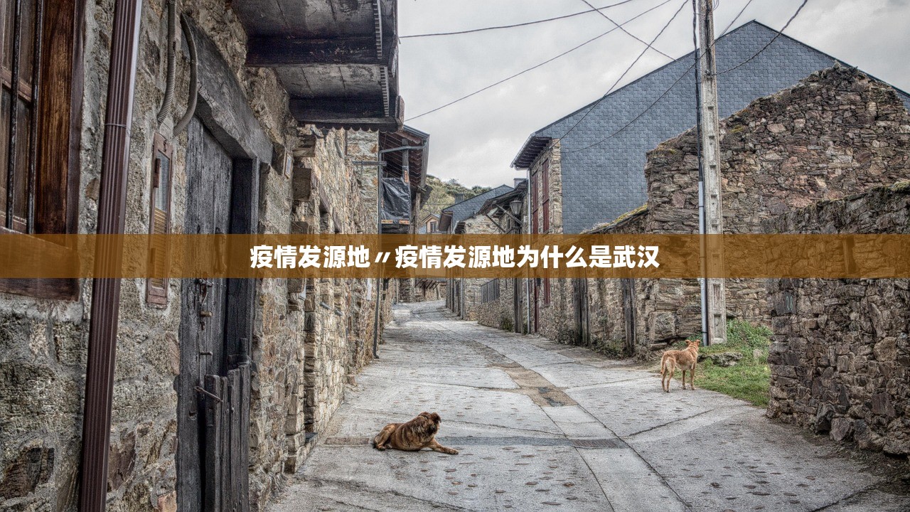 疫情发源地〃疫情发源地为什么是武汉 疫情发源地〃疫情发源地为什么是武汉