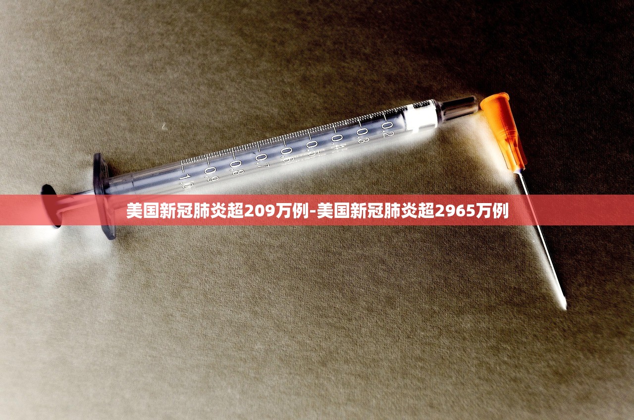 美国新冠肺炎超209万例-美国新冠肺炎超2965万例 美国新冠肺炎超209万例-美国新冠肺炎超2965万例