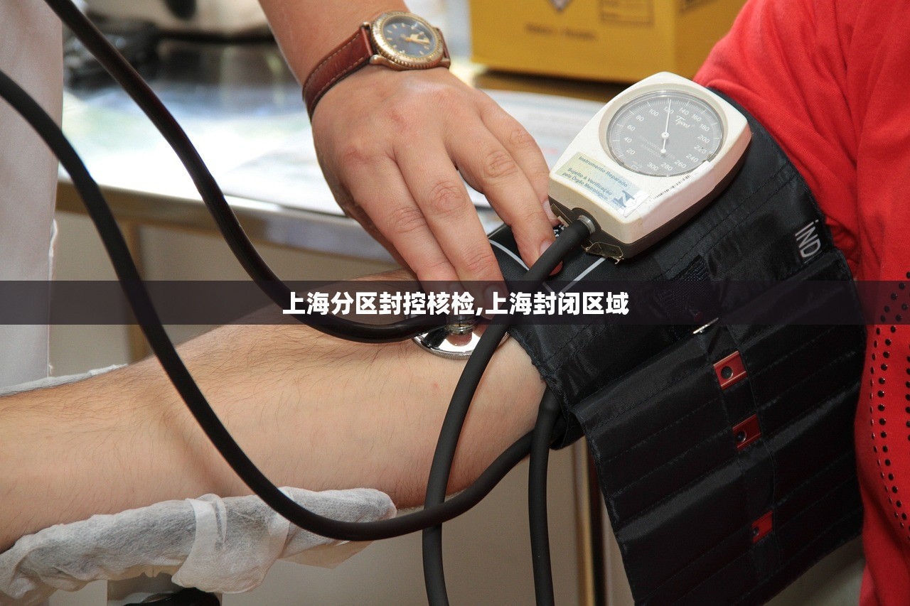 上海分区封控核检,上海封闭区域