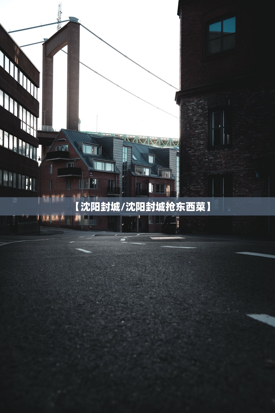 【沈阳封城/沈阳封城抢东西菜】