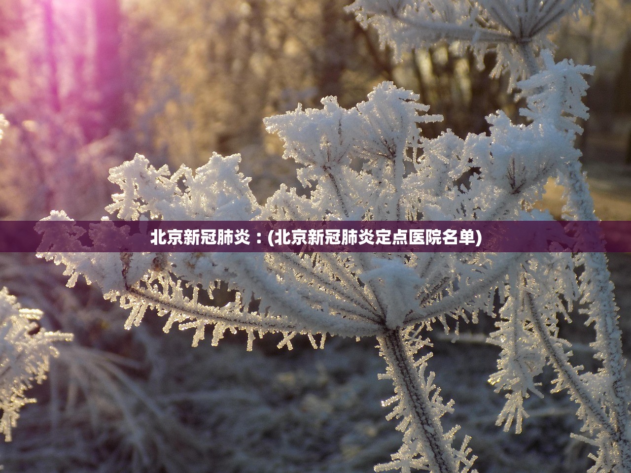 北京新冠肺炎︰(北京新冠肺炎定点医院名单)