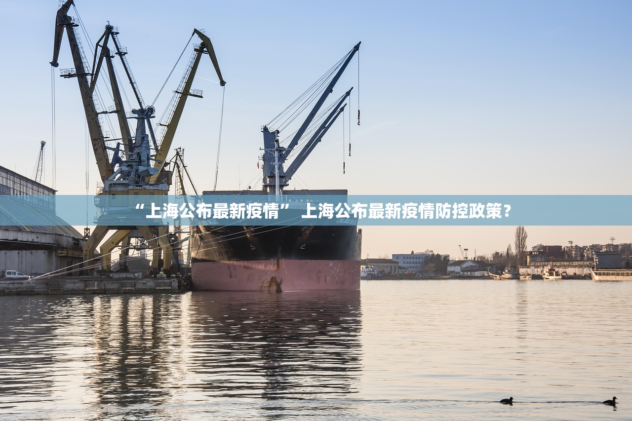 “上海公布最新疫情	” 上海公布最新疫情防控政策？