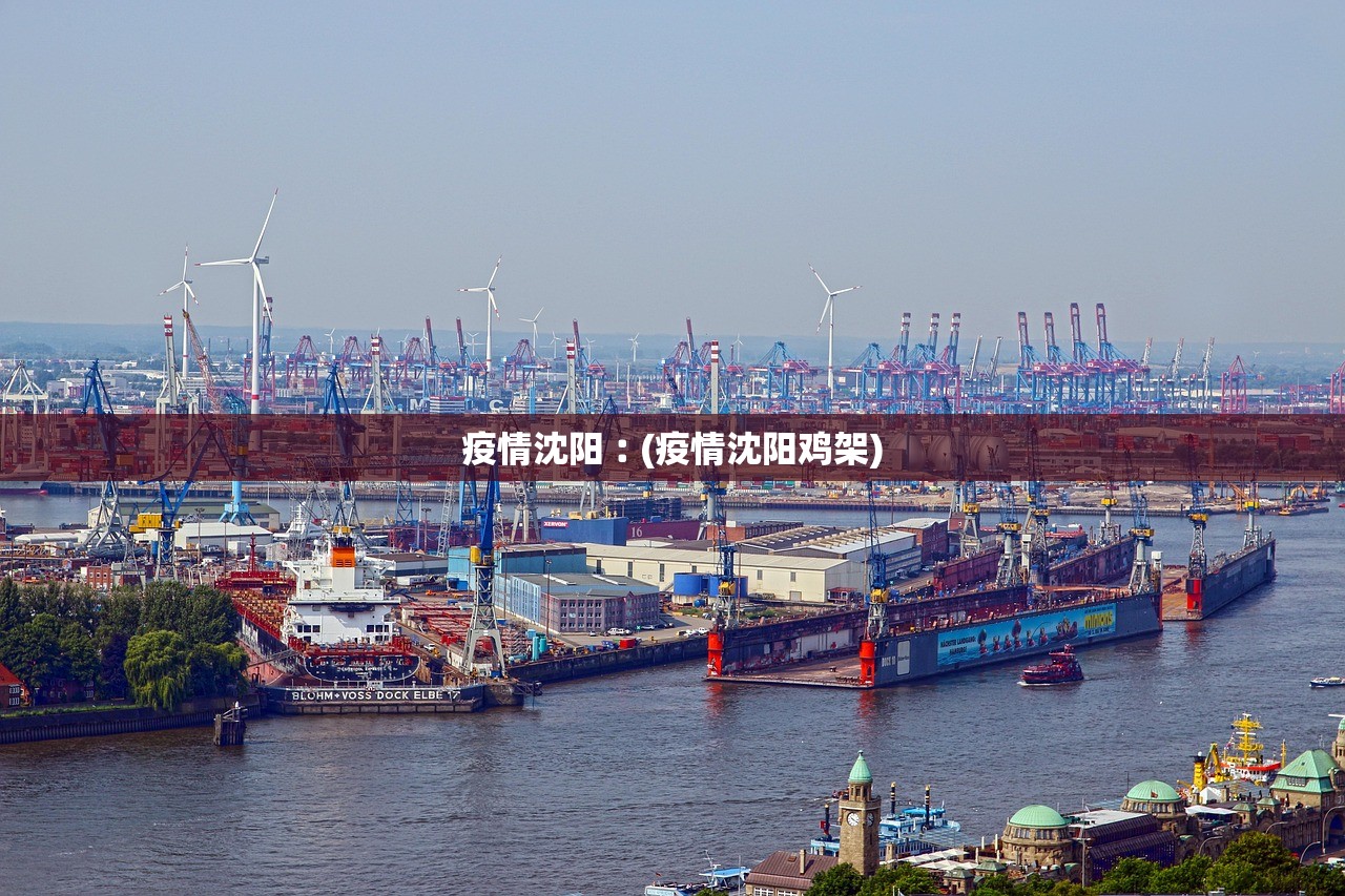 疫情沈阳︰(疫情沈阳鸡架)