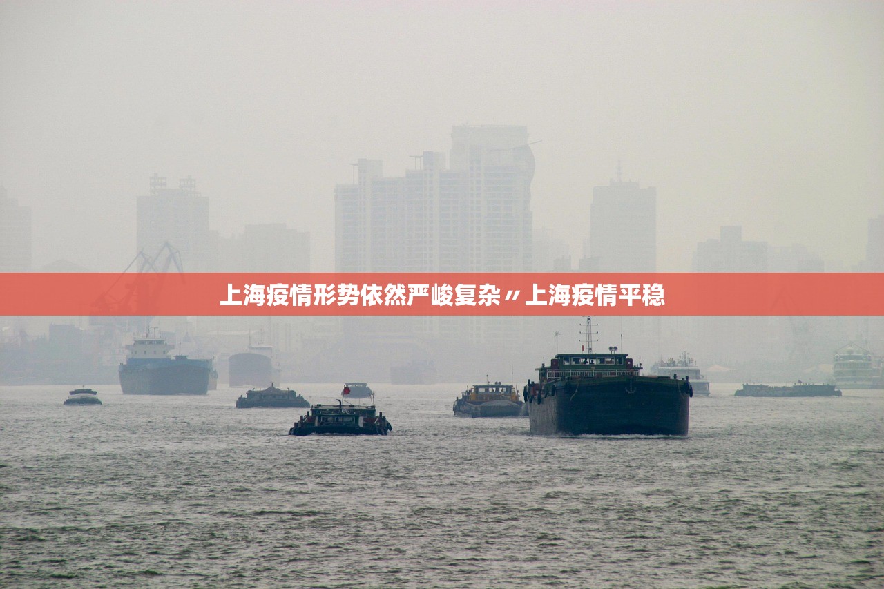 上海疫情形势依然严峻复杂〃上海疫情平稳