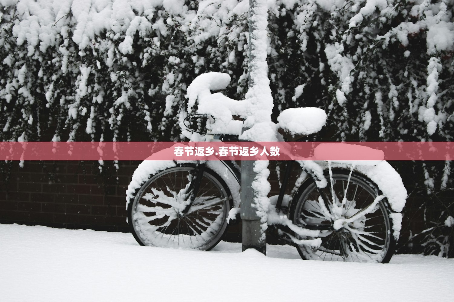 春节返乡.春节返乡人数