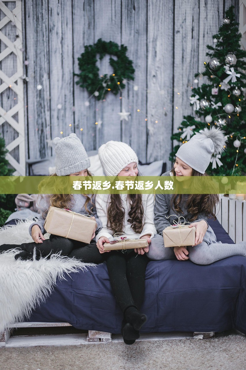春节返乡.春节返乡人数