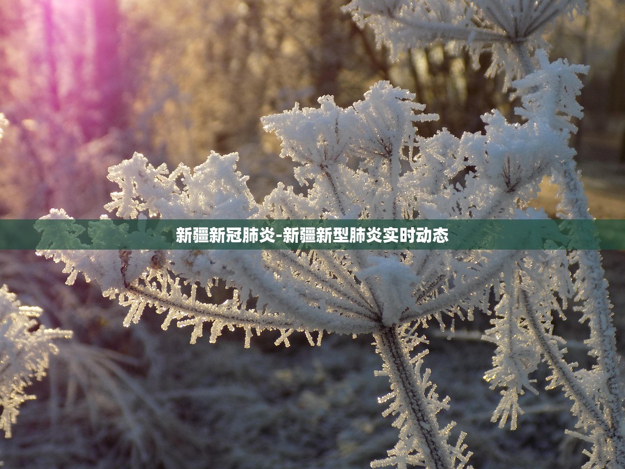 北京新增22例确诊均与新发地有关.北京新发地疫情通报