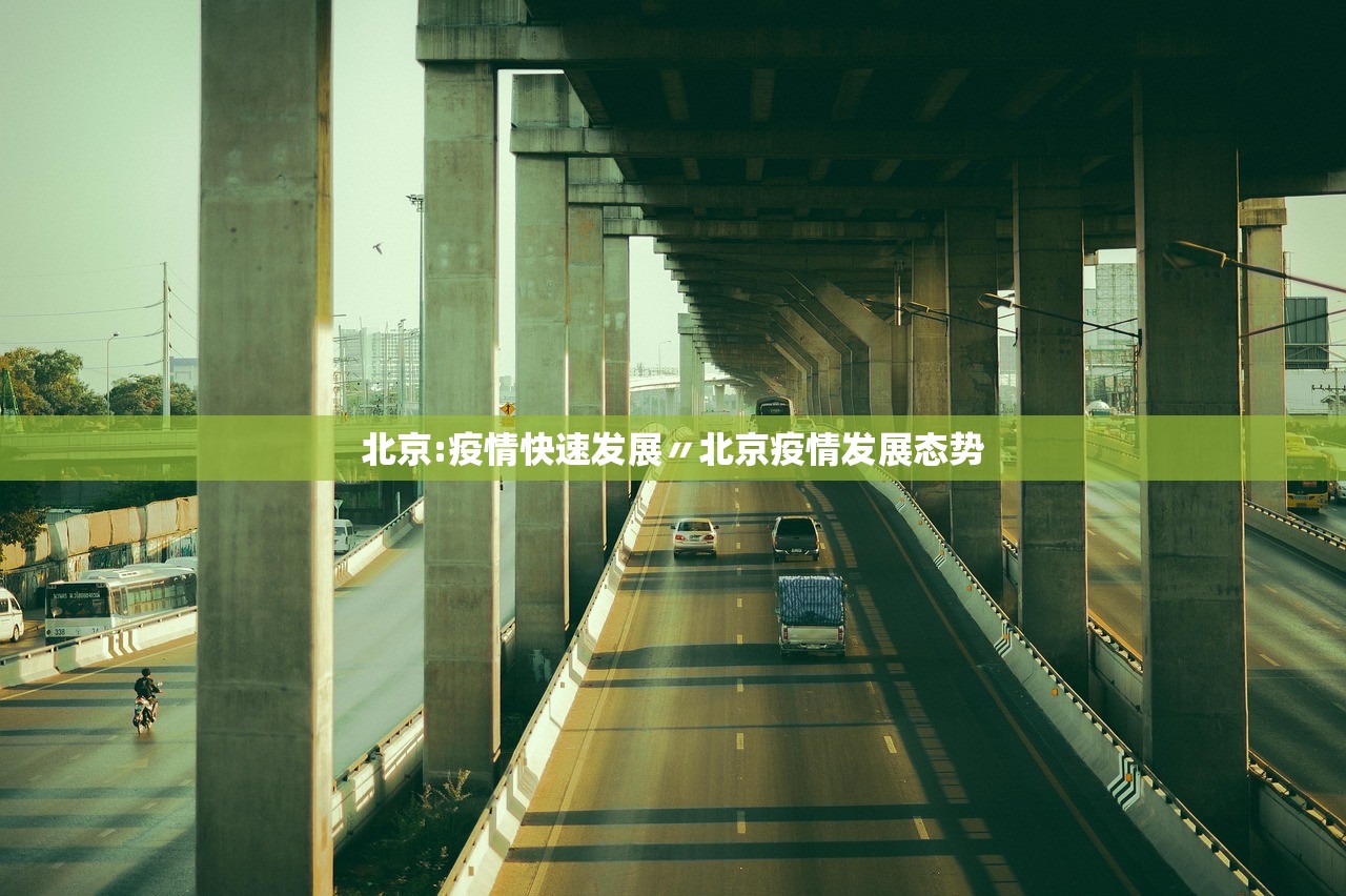 北京:疫情快速发展〃北京疫情发展态势