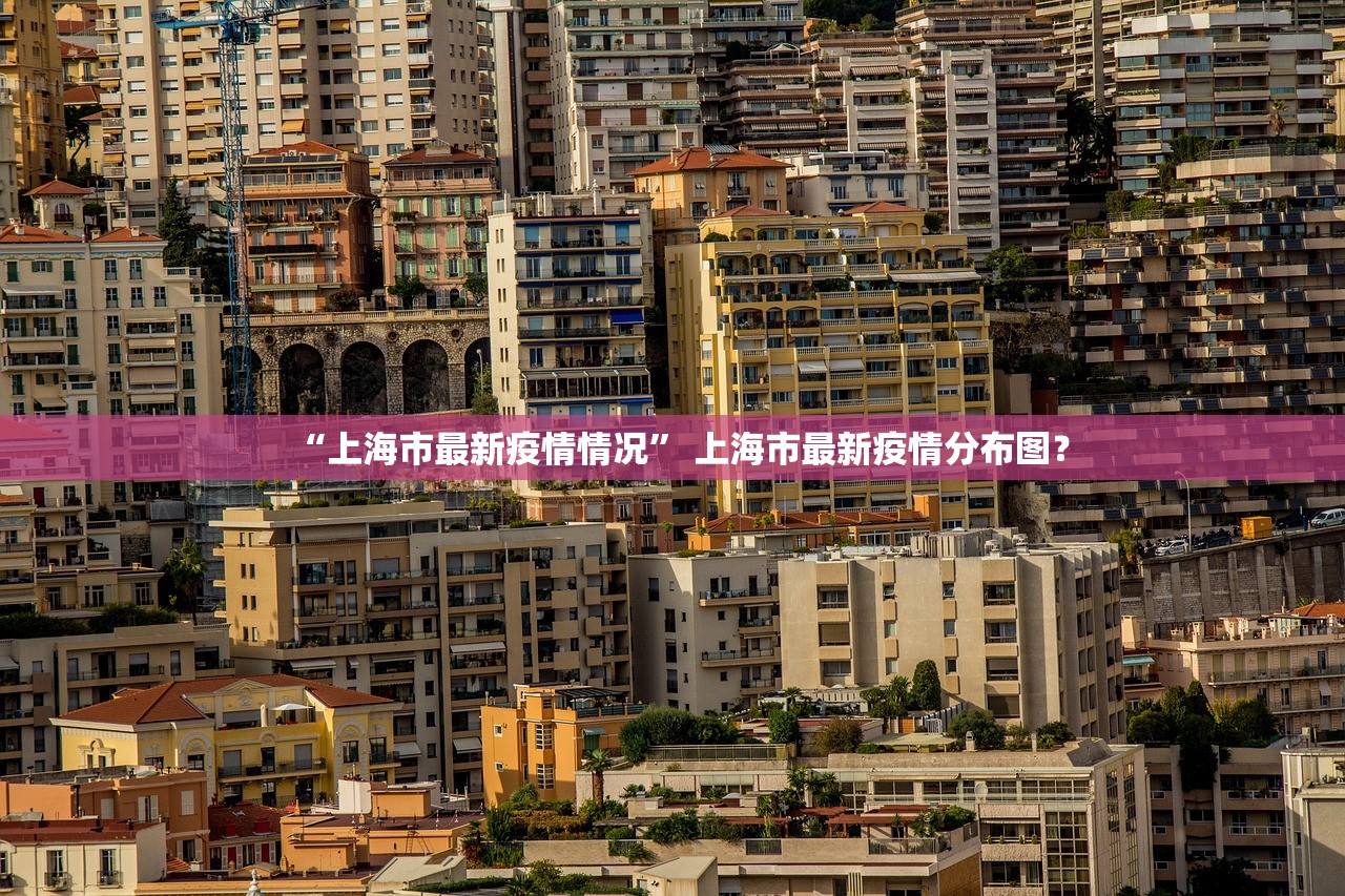 “上海市最新疫情情况	” 上海市最新疫情分布图？