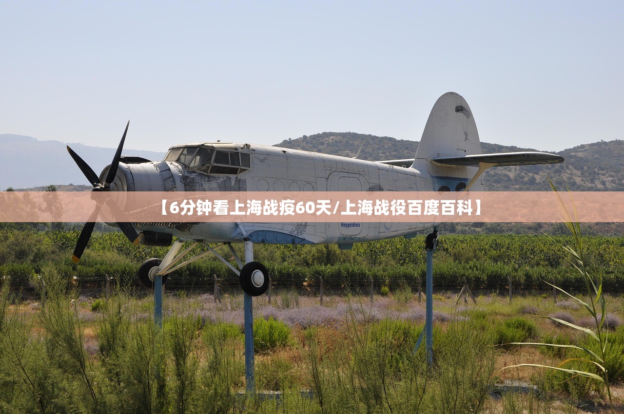 【6分钟看上海战疫60天/上海战役百度百科】