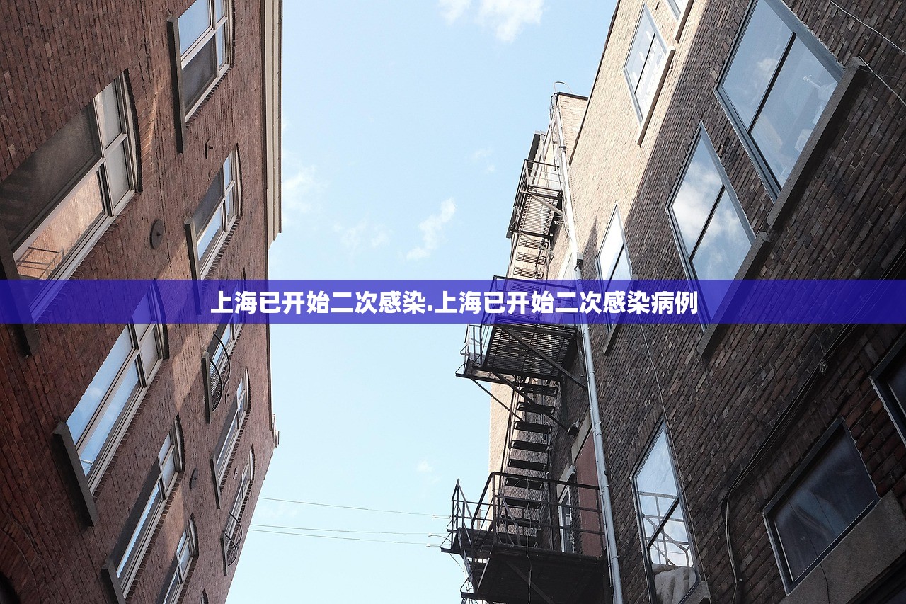 上海已开始二次感染.上海已开始二次感染病例