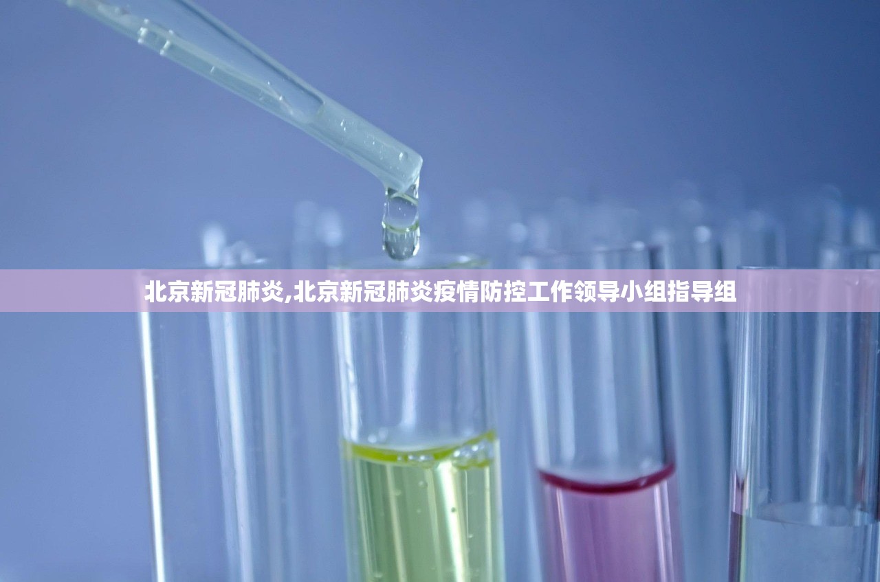 北京新冠肺炎,北京新冠肺炎疫情防控工作领导小组指导组