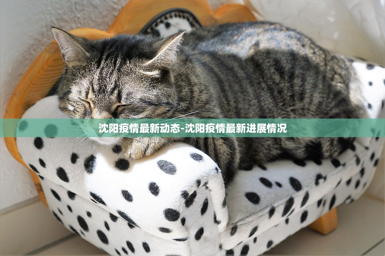 沈阳疫情最新动态-沈阳疫情最新进展情况 沈阳疫情最新动态-沈阳疫情最新进展情况