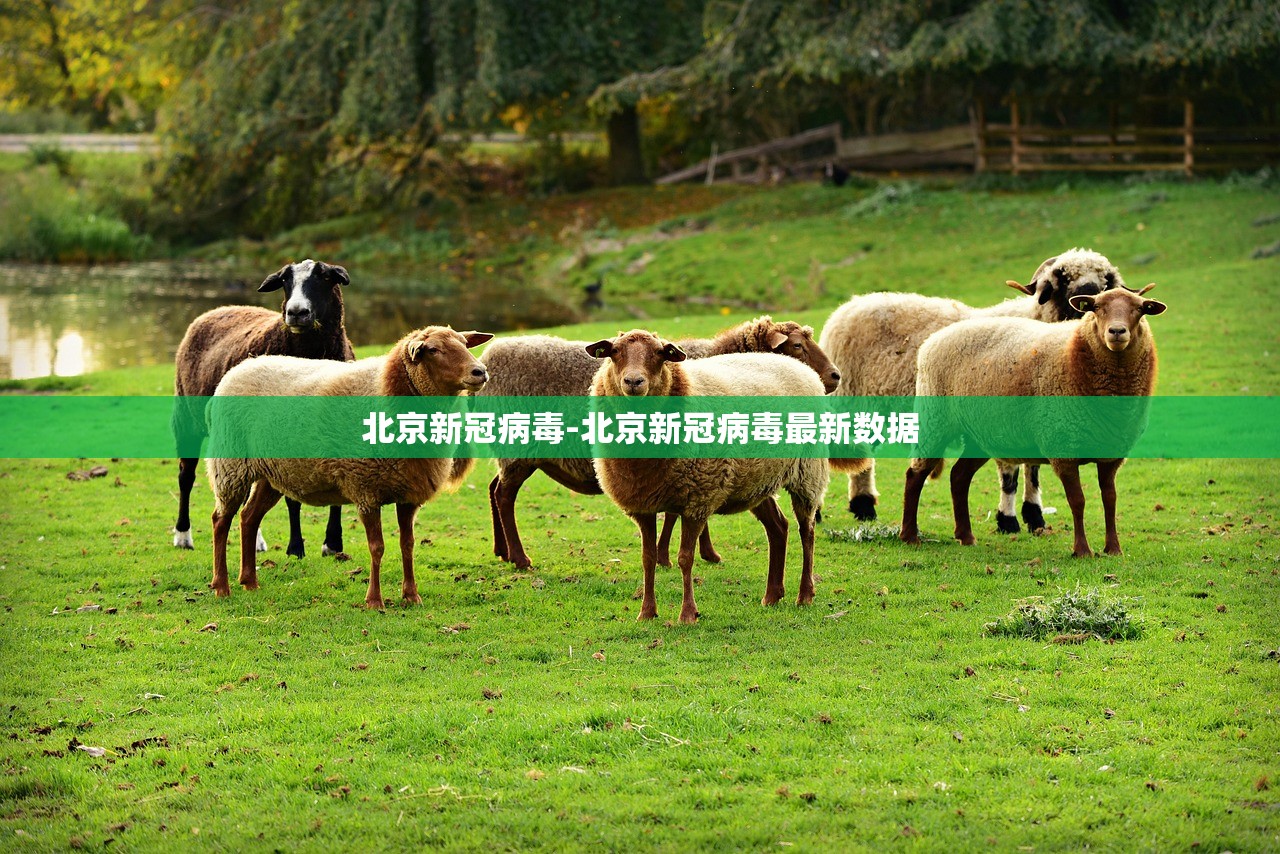北京新冠病毒-北京新冠病毒最新数据
