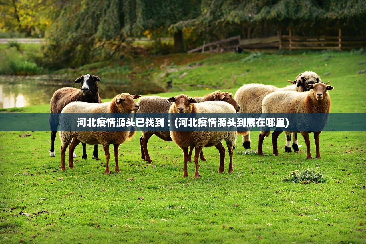 河北疫情源头已找到︰(河北疫情源头到底在哪里)