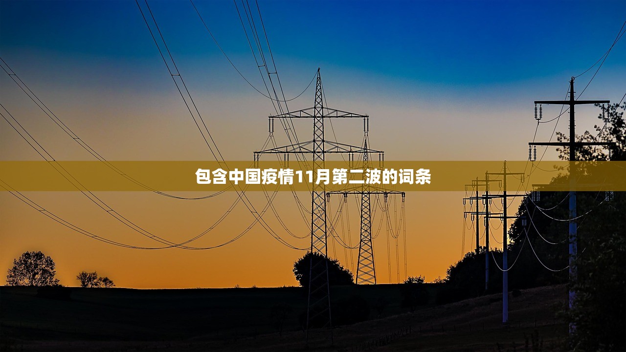 包含中国疫情11月第二波的词条