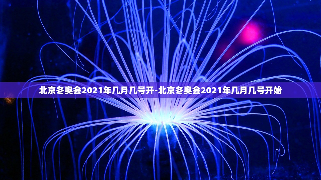 北京冬奥会2021年几月几号开-北京冬奥会2021年几月几号开始