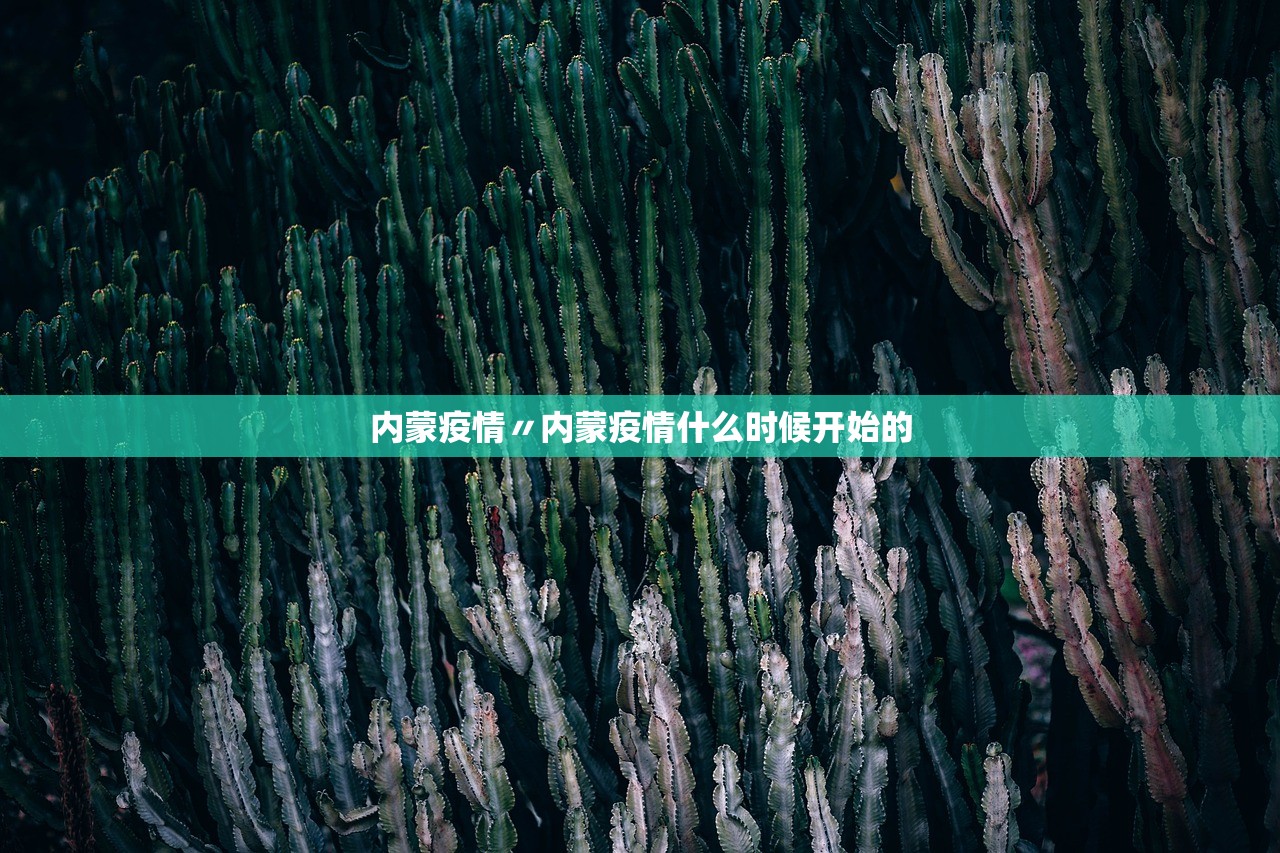 内蒙疫情〃内蒙疫情什么时候开始的