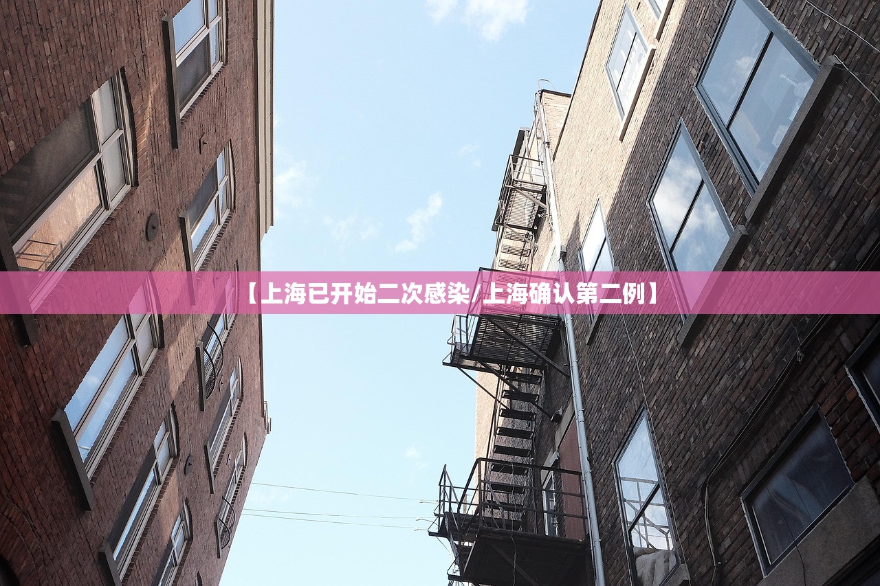 【上海已开始二次感染/上海确认第二例】