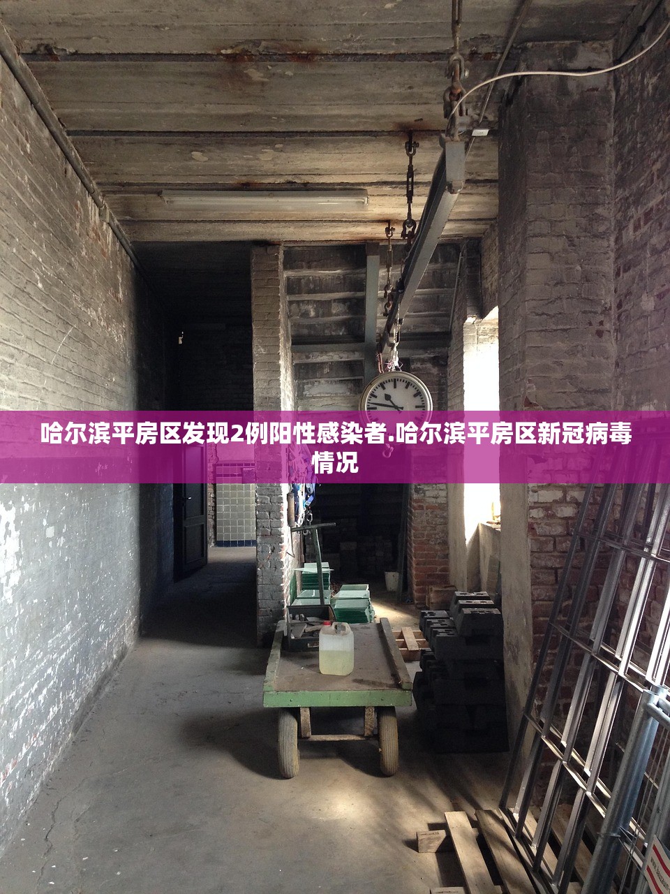 哈尔滨平房区发现2例阳性感染者.哈尔滨平房区新冠病毒情况