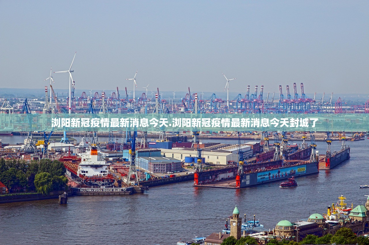 浏阳新冠疫情最新消息今天.浏阳新冠疫情最新消息今天封城了