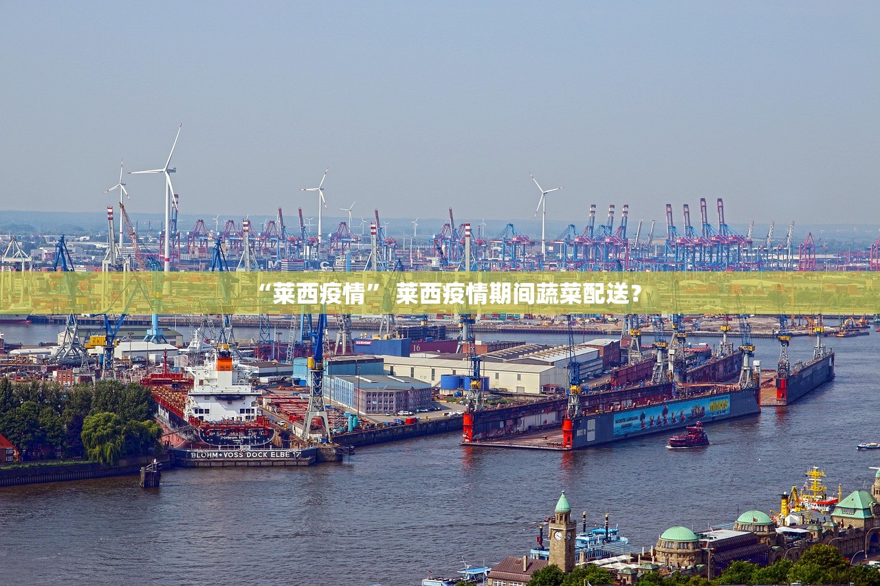 “莱西疫情” 莱西疫情期间蔬菜配送？