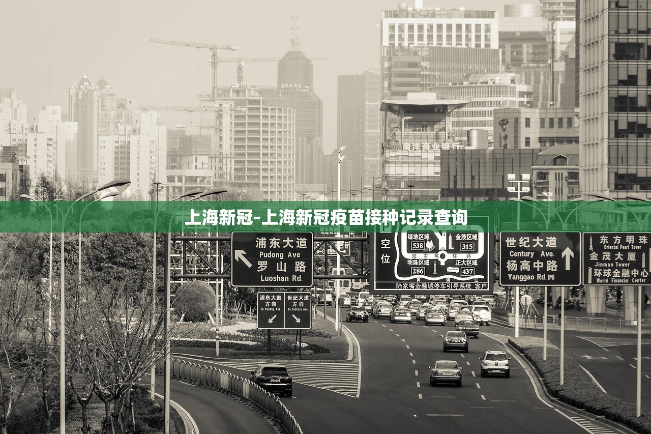 上海新冠-上海新冠疫苗接种记录查询