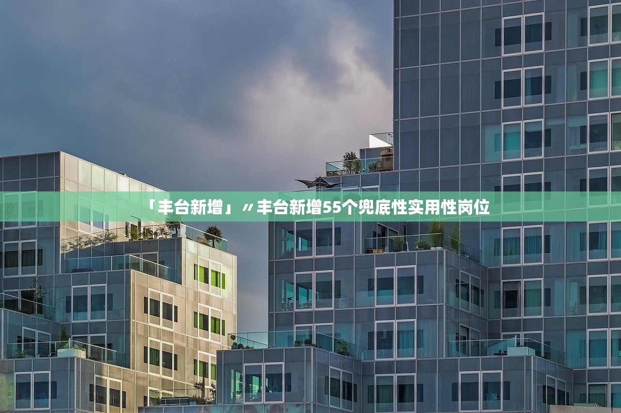 「丰台新增」〃丰台新增55个兜底性实用性岗位