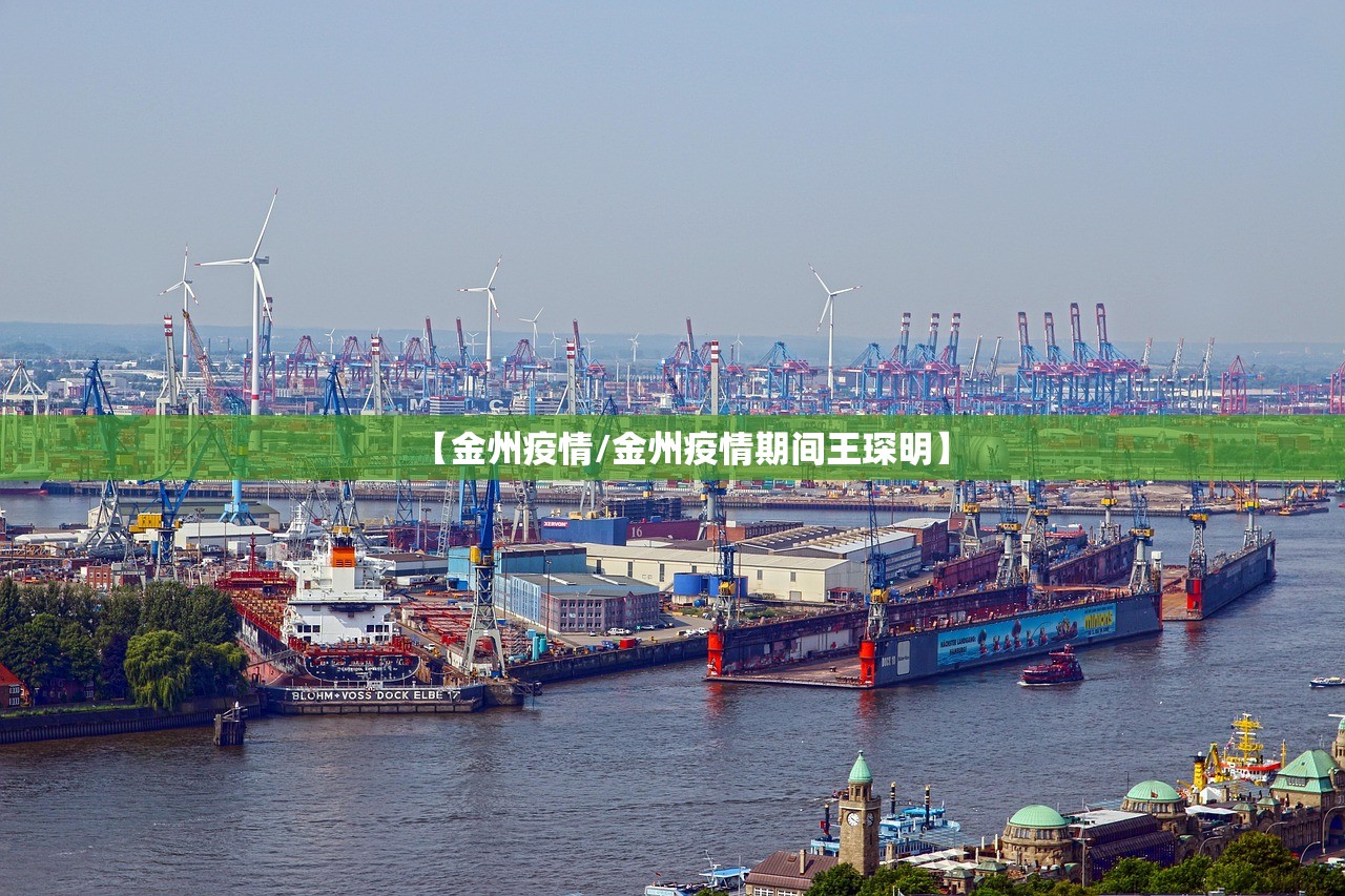 【金州疫情/金州疫情期间王琛明】