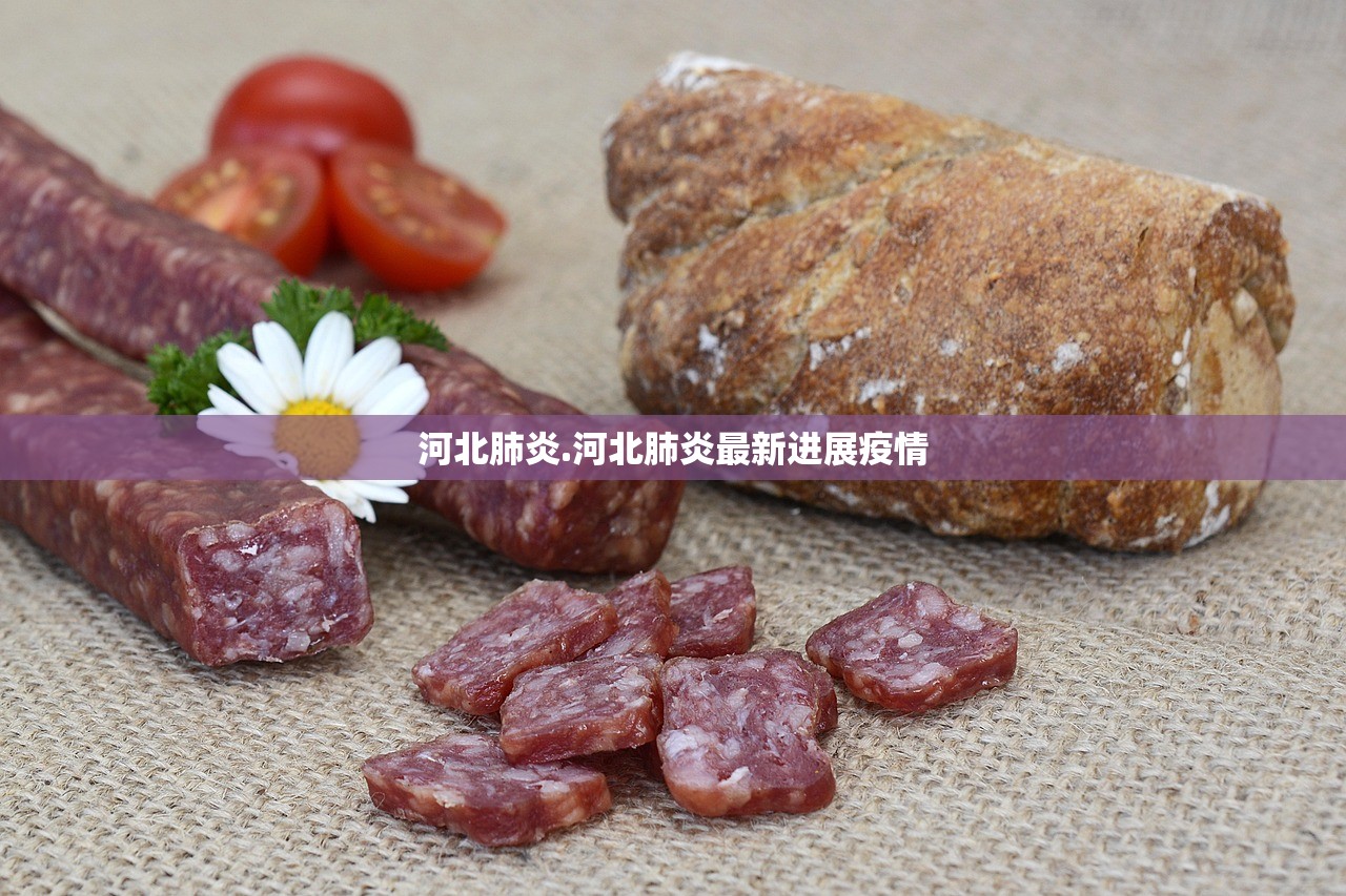 河北肺炎.河北肺炎最新进展疫情