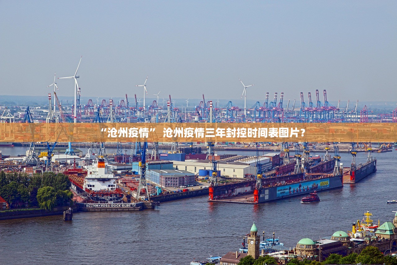 “沧州疫情” 沧州疫情三年封控时间表图片？